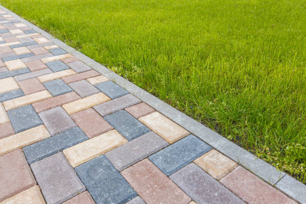 Best Driveway Paving Contractor  in Plantsville, CT